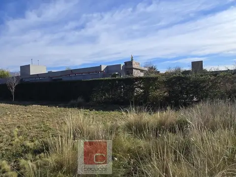 Terreno en Venta en Vistalba, USD 60.000