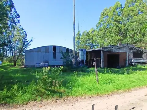 CAMPO FORESTAL. ESTACION YEQUERI 