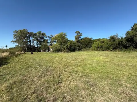 Quinta en Villa Lía ? 5.000 m² de Naturaleza y Tranquilidad