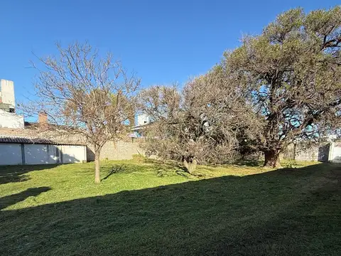 Terreno en Venta 12  mts Frente