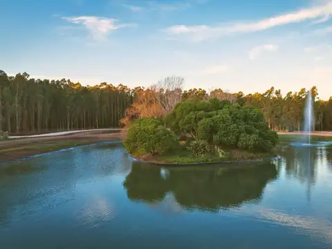 Terreno en Venta de 910,0 m2