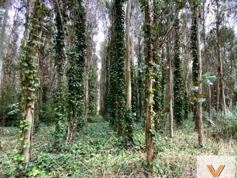 Terreno en Venta en Camet, USD 67.000