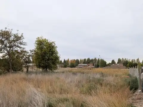 Terreno en Venta en Plottier, USD 15.000