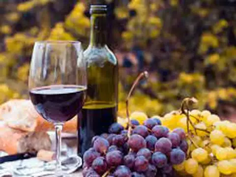 Terreno en Venta en San Rafael, USD 4.500.000