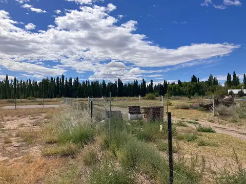 Terreno en Venta en Plottier, USD 25.000