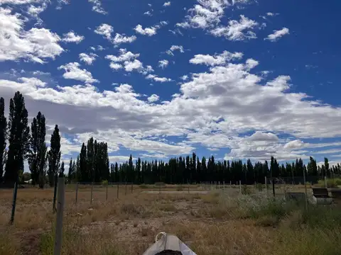 Venta Terreno 500 mt Plottier 