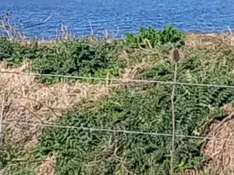 Terreno en Venta en Guillermo E Hudson, USD 85.000