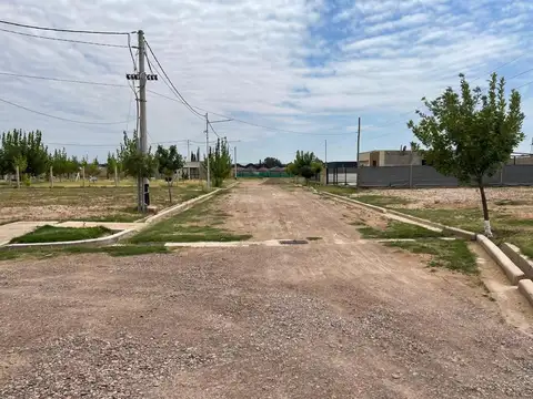 Calle Pública 2