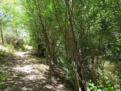 Costanera, San Esteban