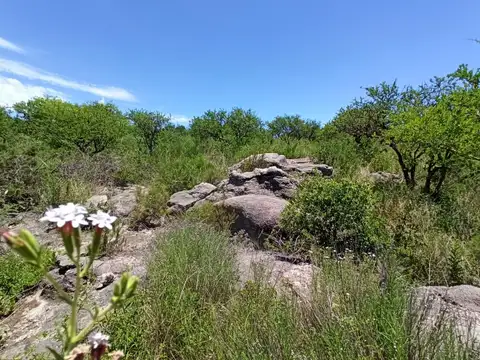 Terreno en Venta de 1250,0 m2