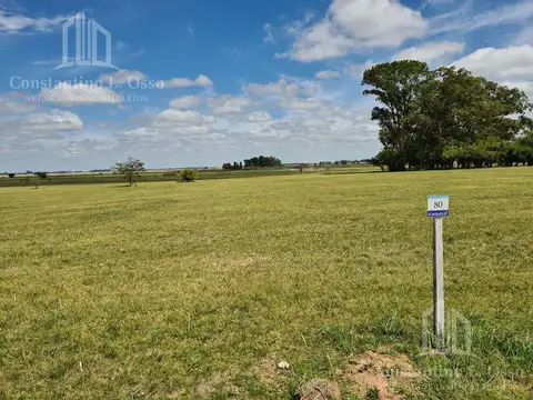 El Mirador - Ruta 2 - Km 90