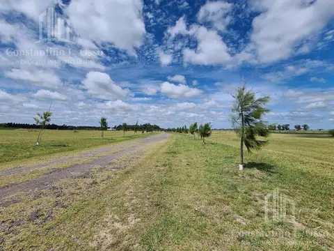Terreno en Venta de 1358,0 m2