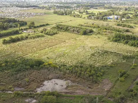 CAMPO EN VENTA ARANA DE 25,38 HA