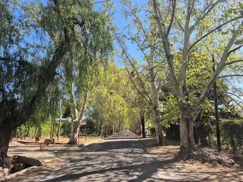 Terreno en Venta en Perdriel, USD 21.000