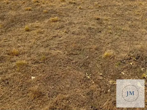 Terreno en Trapiche