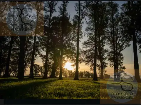 Terreno en Venta de 1000,0 m2