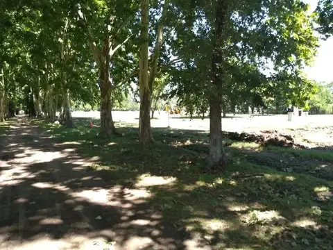 Terreno en San Miguel