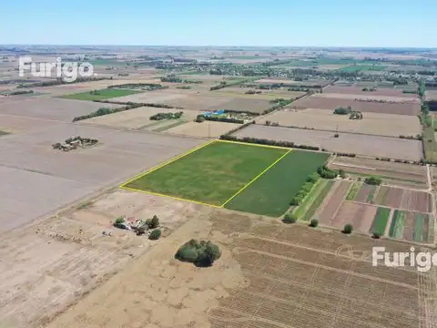 Campo - Soldini