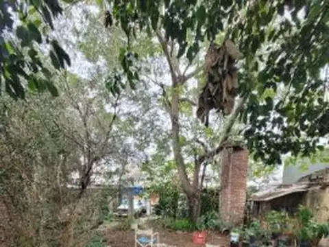 OPORTUNIDAD VENTA LOTE PROPIO DE 452.63 m2  EN SAN JUSTO