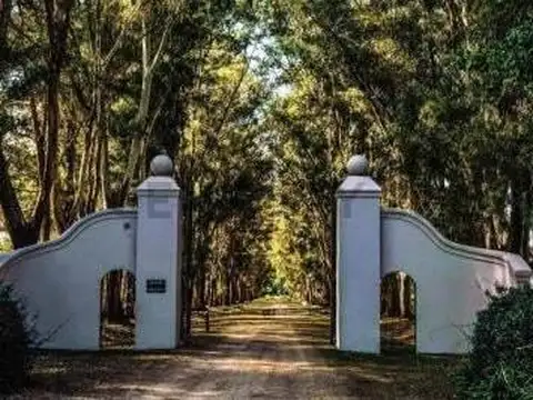 bernardino rivadavia 100, Piso 0