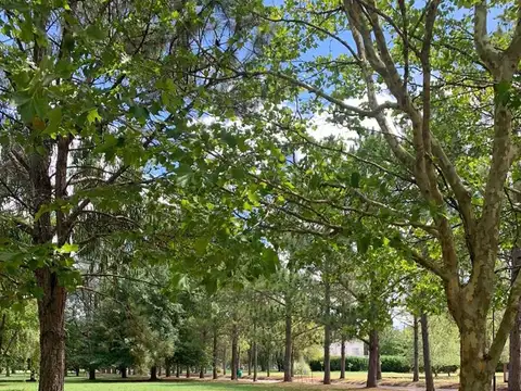 Terreno en  venta Miralagos