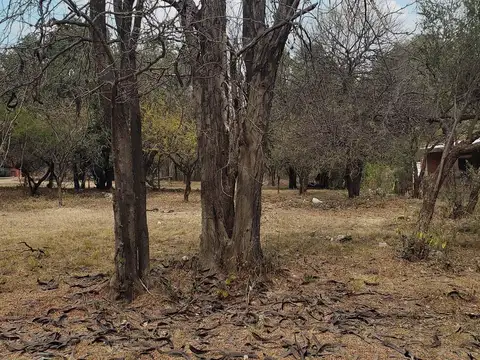 Terreno en Venta, FOT 20