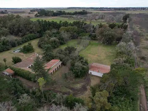 Venta estancia la francesa brandsen/campo mixto