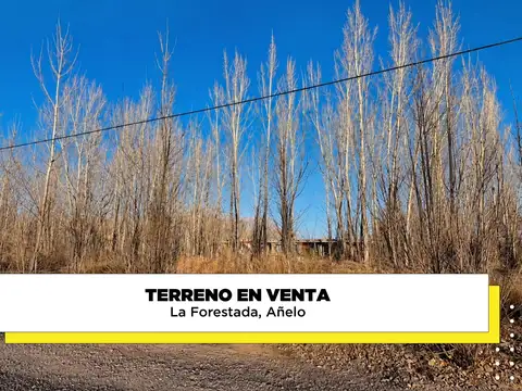 Terreno en venta La Forestada, Añelo