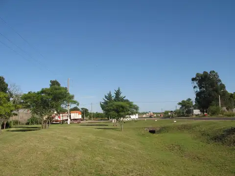 Chacra - Urdinarrain