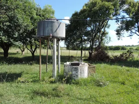 calle 243 esquina ayacucho paysandu