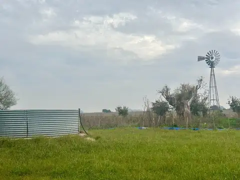 35 Has Agrícolas – Ganaderas en Magdalena BS AS