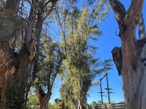 Quinta de Alquiler Temporario en El Remanso