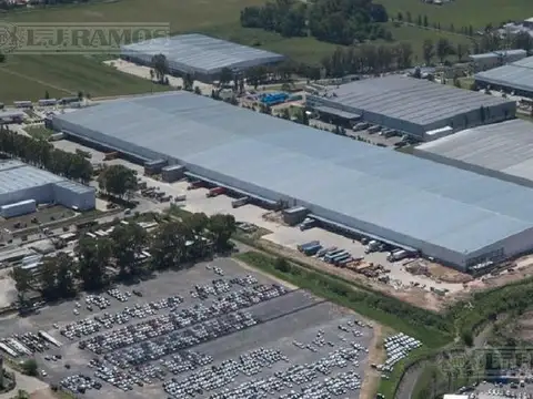 OTTO KRAUSE  N°4208