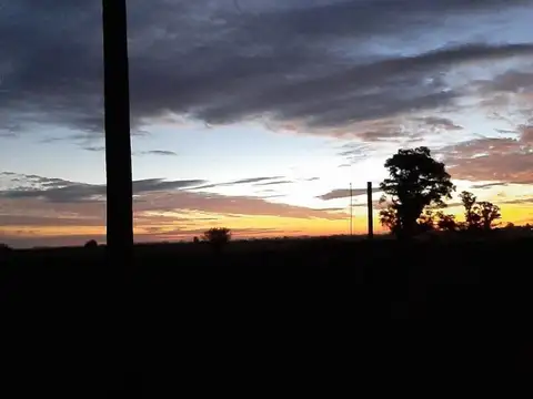 13,5 HECTAREAS EN VENTA SOBRE RUTA PANAMERICANA N9 Y KILOMETRO 103. ACEPTA PERMUTA