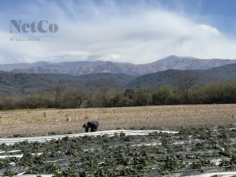 Calderilla, La Caldera 0