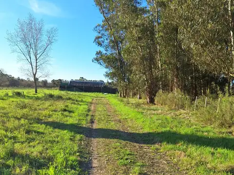 Camino Rincón de Pando