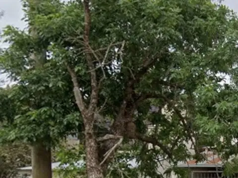 ¡INVERTÍ INTELIGENTE! Lote de 294 m² Judiciales