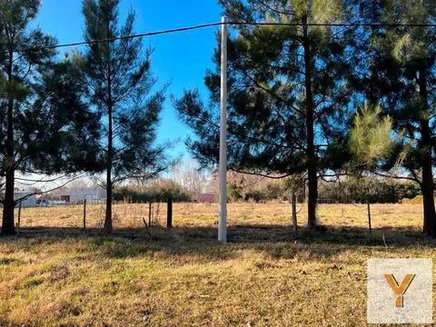 Terreno en Venta 81  mts Fondo