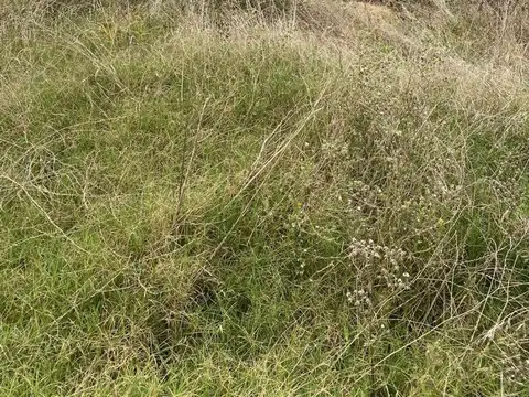 Terreno en Venta de 300,0 m2