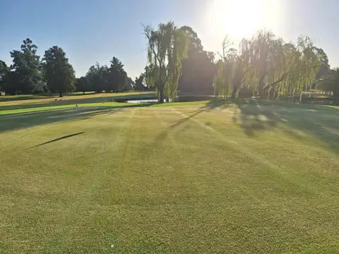 Terreno en Venta 40  mts Fondo