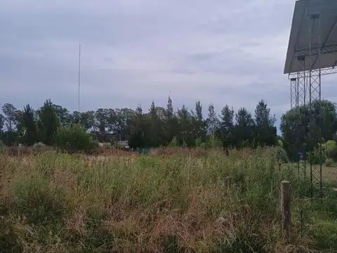 Los Plátanos