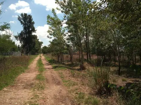 VENTA LOTES UNIFICADOS EN ASTOLFI-APTO CREDITO