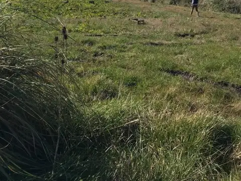 Terreno en Venta 55  mts Fondo