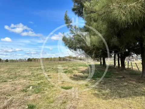 CHACRA DE 2 HECTAREA  MERCEDES ACEPTA PERMUTA