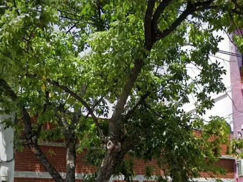 TERRENO EN VENTA EN PARQUE CHAS IDEAL CONSTRUCTOR 