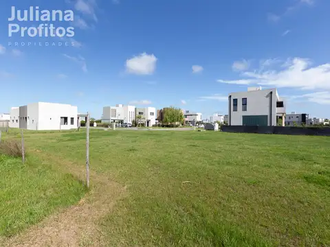 Terreno en Venta 36  mts Fondo