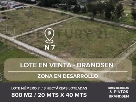 LOTE EN VENTA EN BRANDSEN (lote N 7)