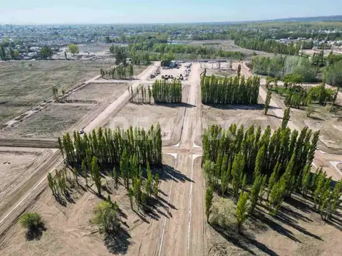 Terreno en Venta de 300,0 m2