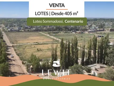 Terreno en Venta en Centenario, Confluencia