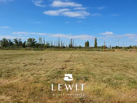 Terreno en Venta en Centenario, USD 38.000
